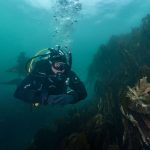 drysuit