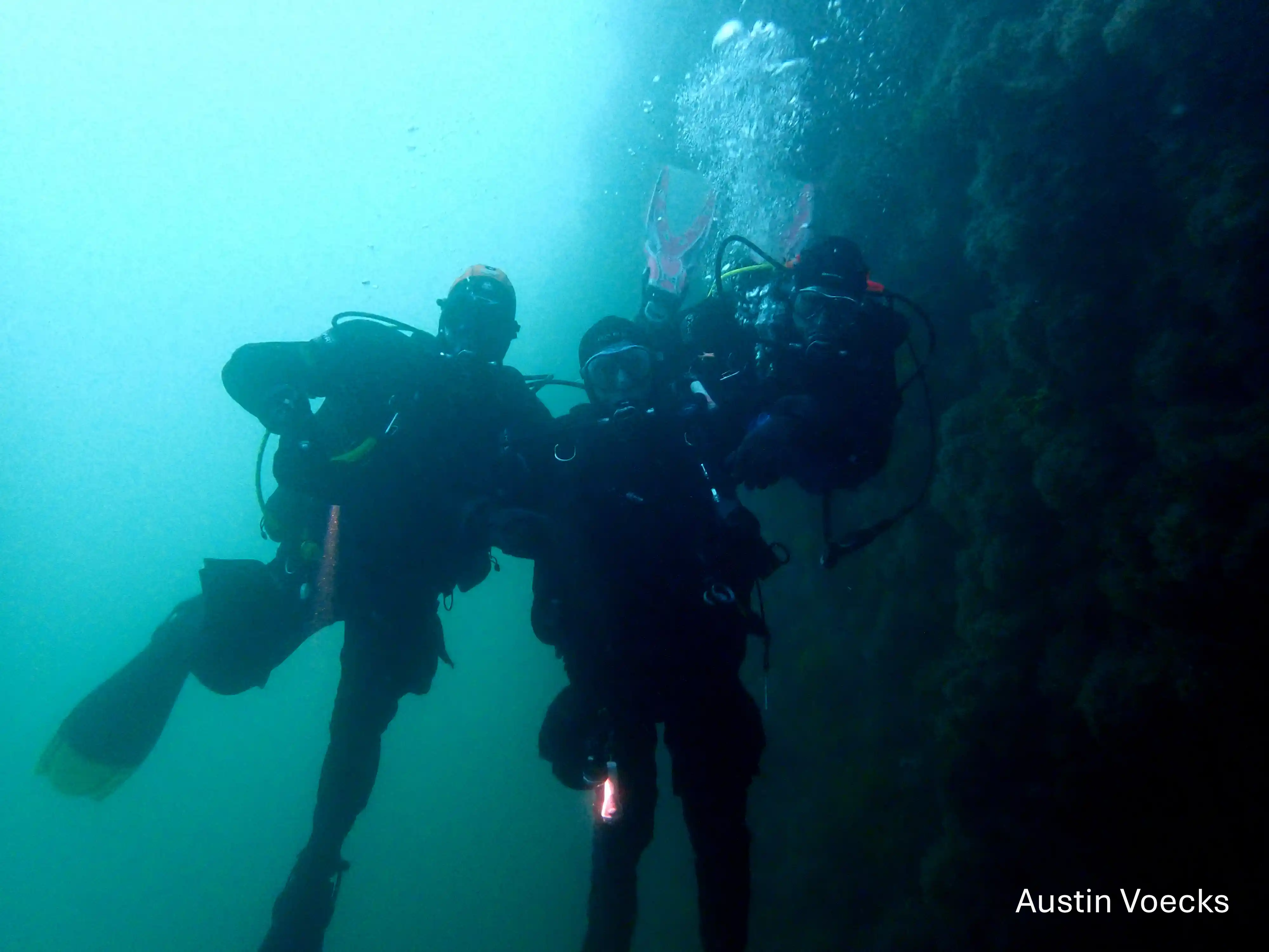 Local Boat Dive - Image 4