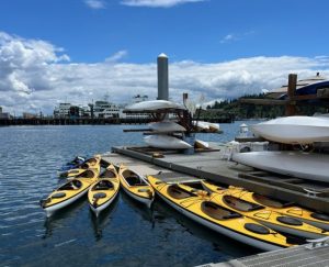 Single Kayak - One hour