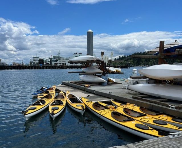 Single Kayak - One hour