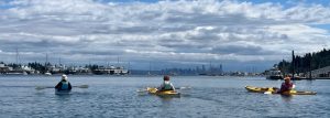 Full Day Sea Kayak Rental