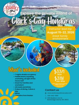 Private Island Getaway- Family and non-diver friendly