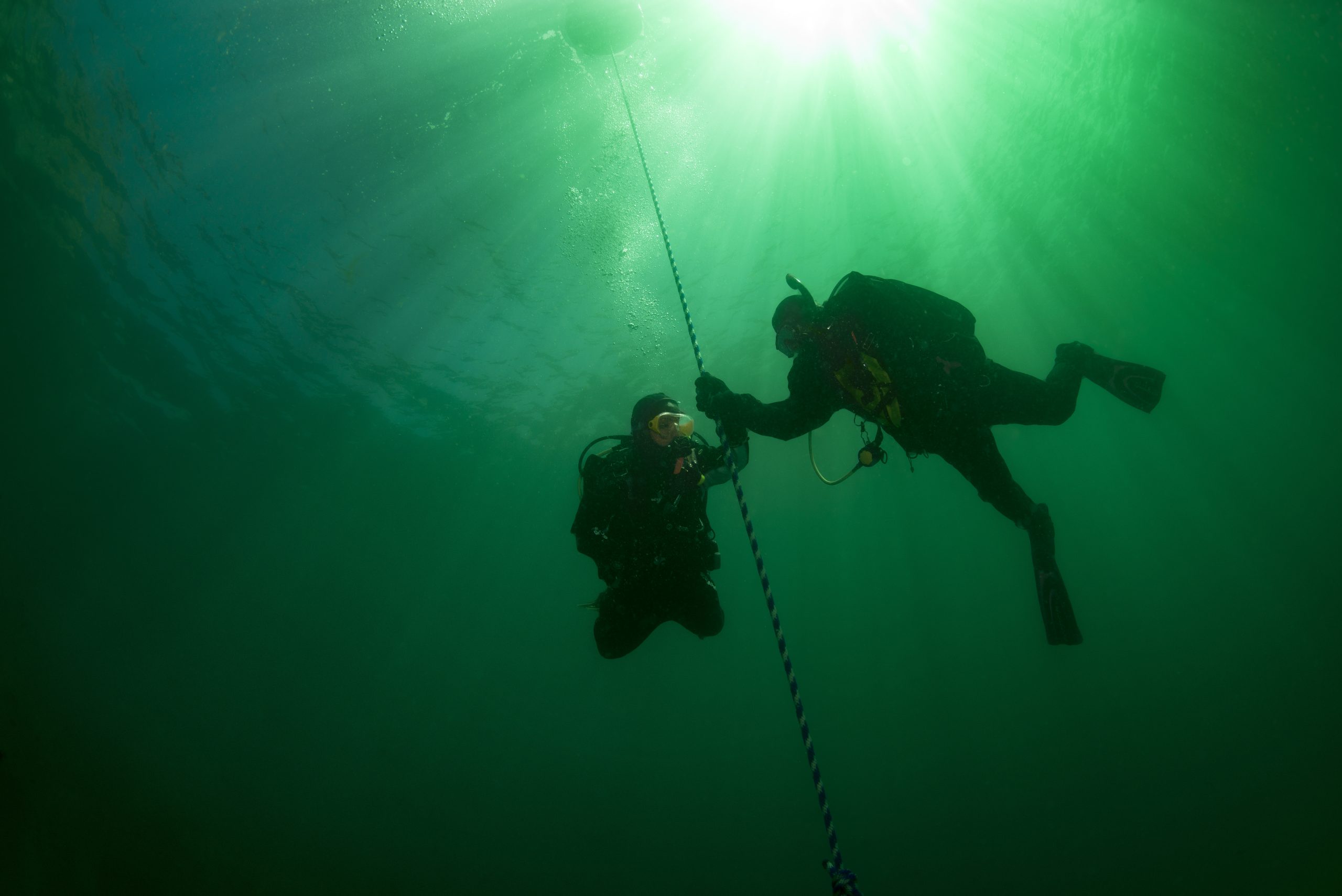 Local Boat Dive - Image 3