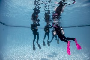 PADI Open Water Diver Course | Small Group